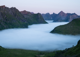 A Sea of Fog - Friday Photo #602